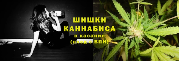 PSILOCYBIN Армянск