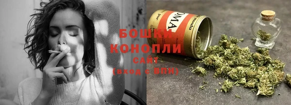 PSILOCYBIN Армянск