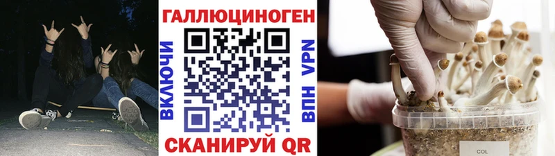 Галлюциногенные грибы мицелий  наркошоп  Тейково 
